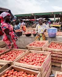 Produce sellers preparing agricultural goods for market